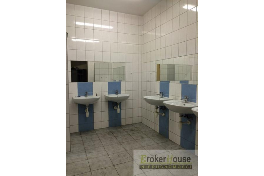 Opole, Building for rent